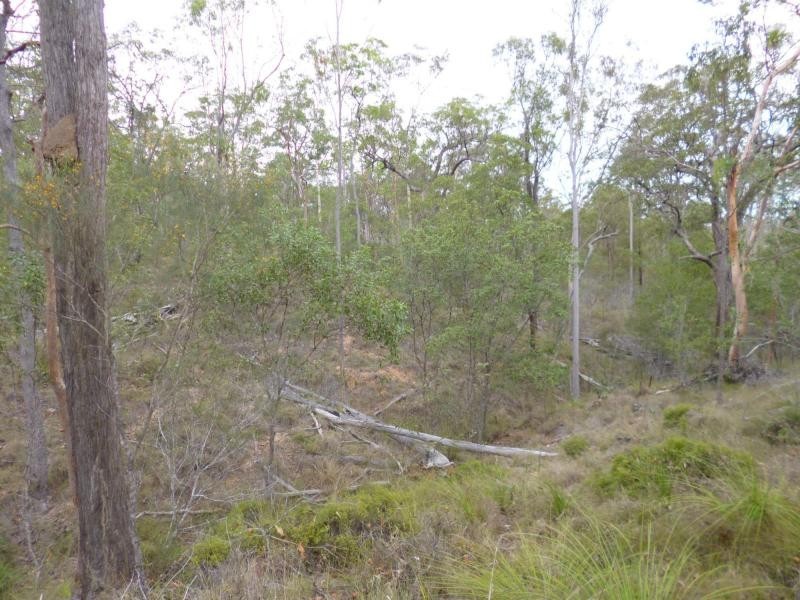 Apple Tree Creek QLD 4660