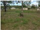 Apple Tree Creek QLD 4660