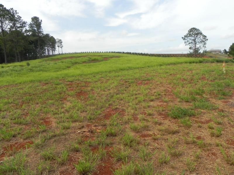 L21 Rainbows Road, Childers, South Isis QLD 4660