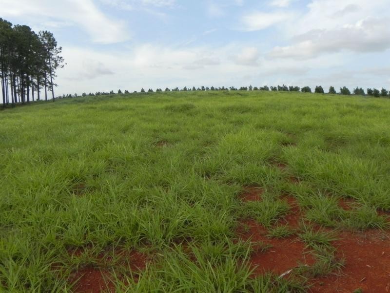 L21 Rainbows Road, Childers, South Isis QLD 4660