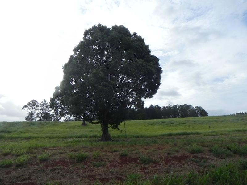 L21 Rainbows Road, Childers, South Isis QLD 4660