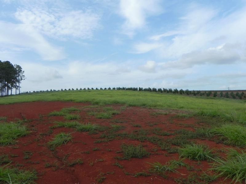 L21 Rainbows Road, Childers, South Isis QLD 4660