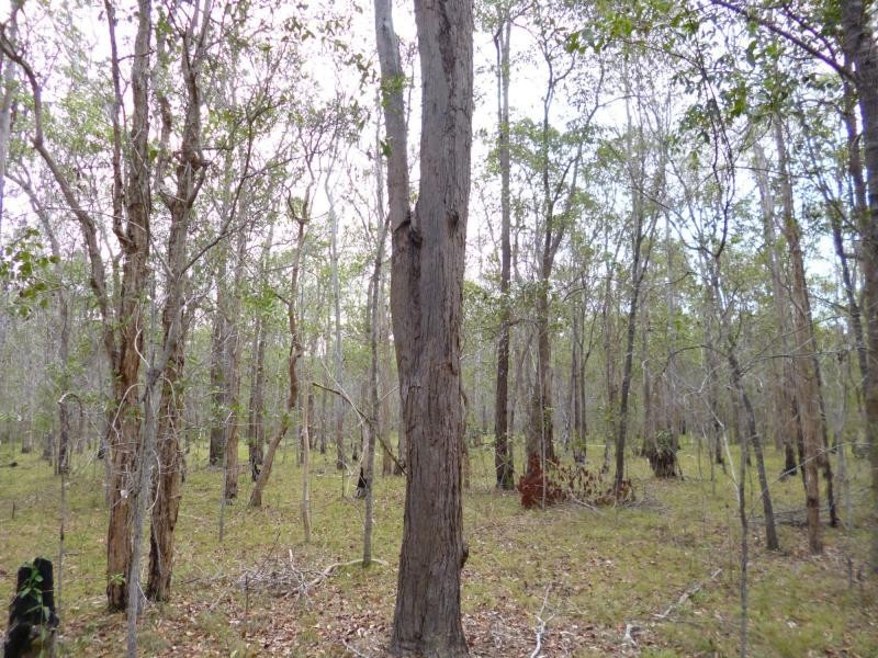 L6 Bootharh Road, Childers, Horton QLD 4660