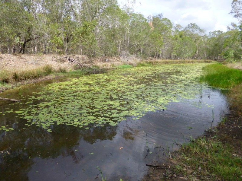 Lot 7 Bootharh Road, Horton QLD 4660