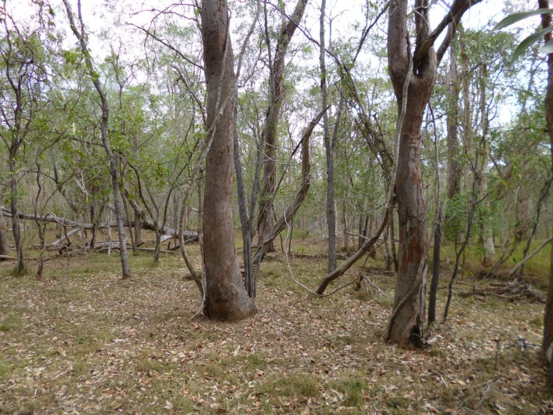 Lot 7 Bootharh Road, Horton QLD 4660