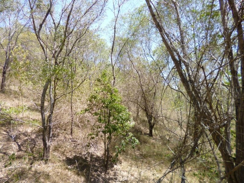 264 Booths Road, St Kilda QLD 4671