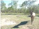 124 Garryowen Road, Childers, Farnsfield QLD 4660