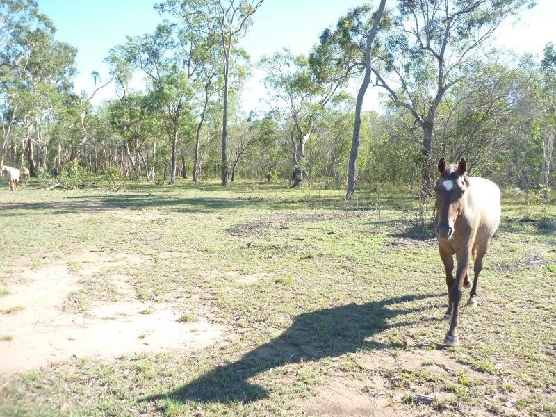 124 Garryowen Road, Childers, Farnsfield QLD 4660