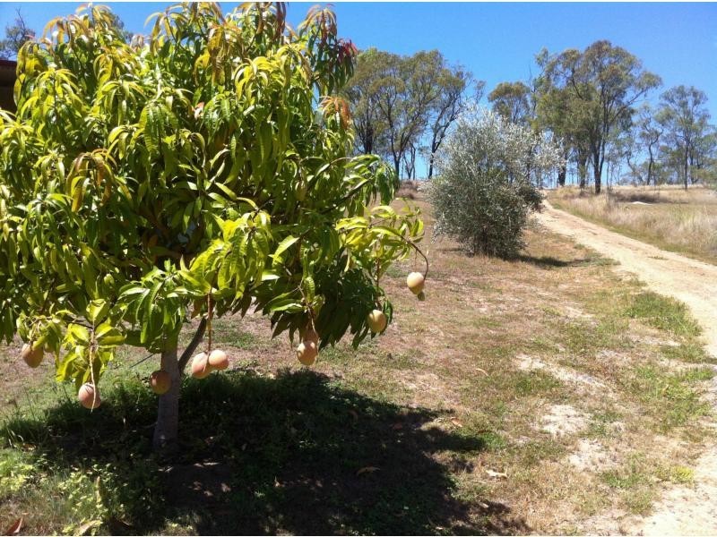 117 Old Booyal Road, Booyal, Dallarnil QLD 4621