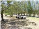 31614 Bruce Highway, Booyal QLD 4671