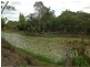 106 Gelsominos Road, Childers, South Isis QLD 4660