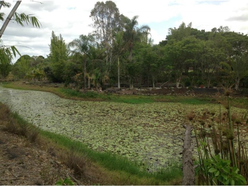106 Gelsominos Road, Childers, South Isis QLD 4660