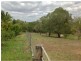 106 Gelsominos Road, Childers, South Isis QLD 4660