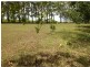 106 Gelsominos Road, Childers, South Isis QLD 4660