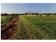 Doolbi QLD 4660