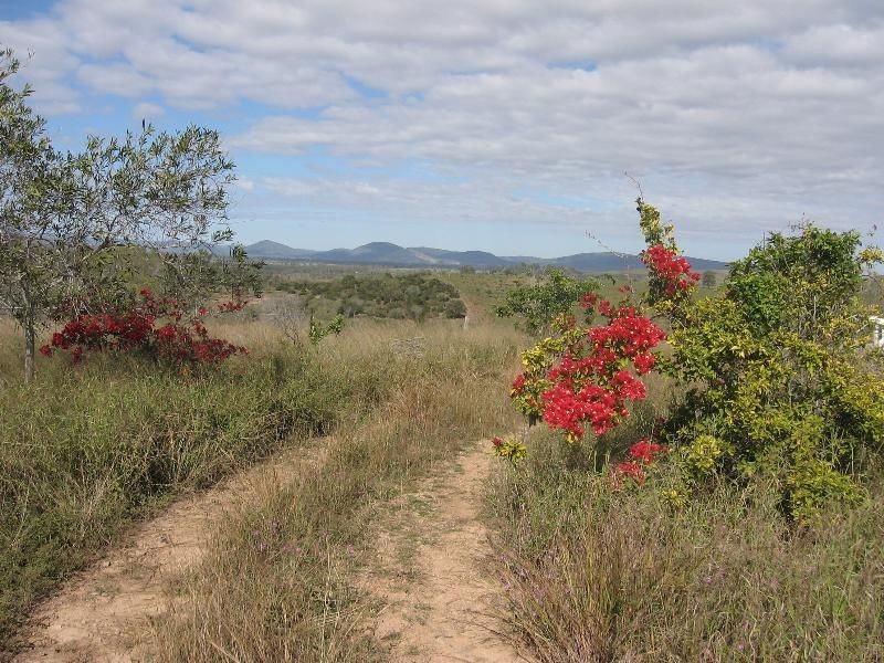 133 Coringa Hills Road, Coringa QLD 4621