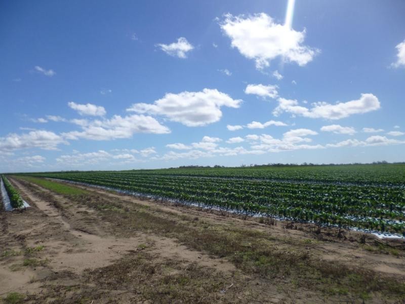 North Gregory QLD 4660