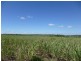 North Gregory QLD 4660