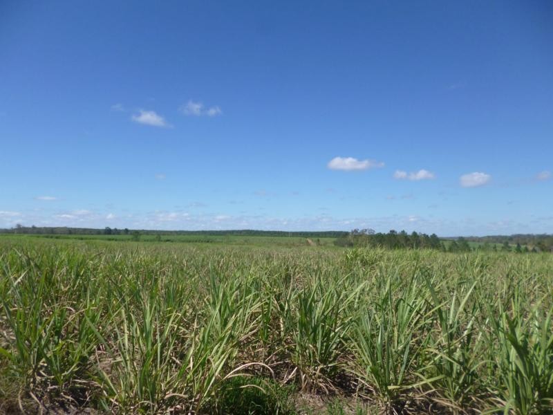 North Gregory QLD 4660