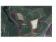 North Gregory QLD 4660
