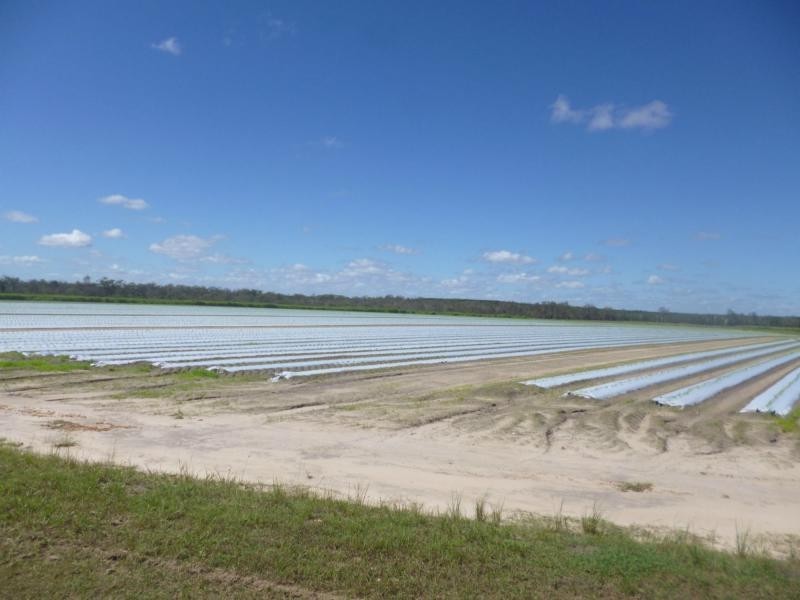 North Gregory QLD 4660