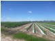 North Gregory QLD 4660