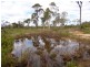 Redridge QLD 4660