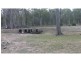 410 Mcdonalds Road, North Isis QLD 4660