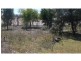 Booyal QLD 4671