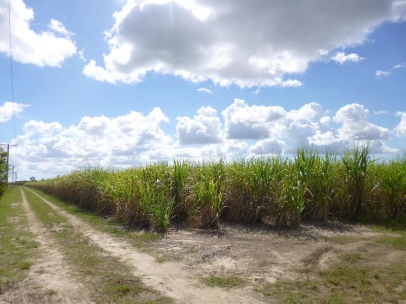 385 Gillens Creek Road, Bundaberg, Alloway QLD 4670