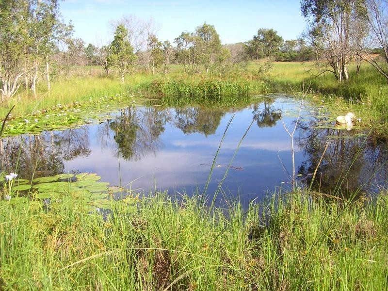 385 Gillens Creek Road, Bundaberg, Alloway QLD 4670