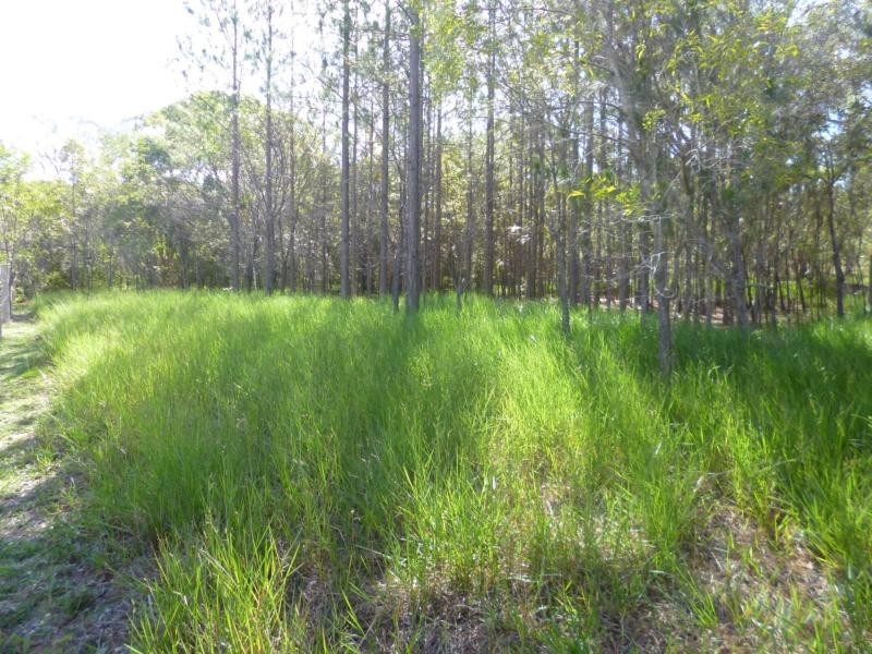 3576 Childers Road, Childers, Gregory River QLD 4660