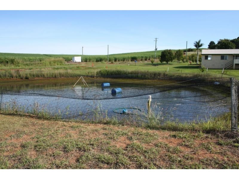 26 Wechsels Road, Childers, Horton QLD 4660