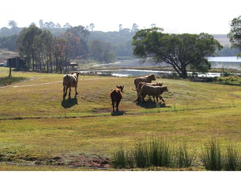 26 Wechsels Road, Childers, Horton QLD 4660