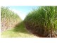 North Isis QLD 4660