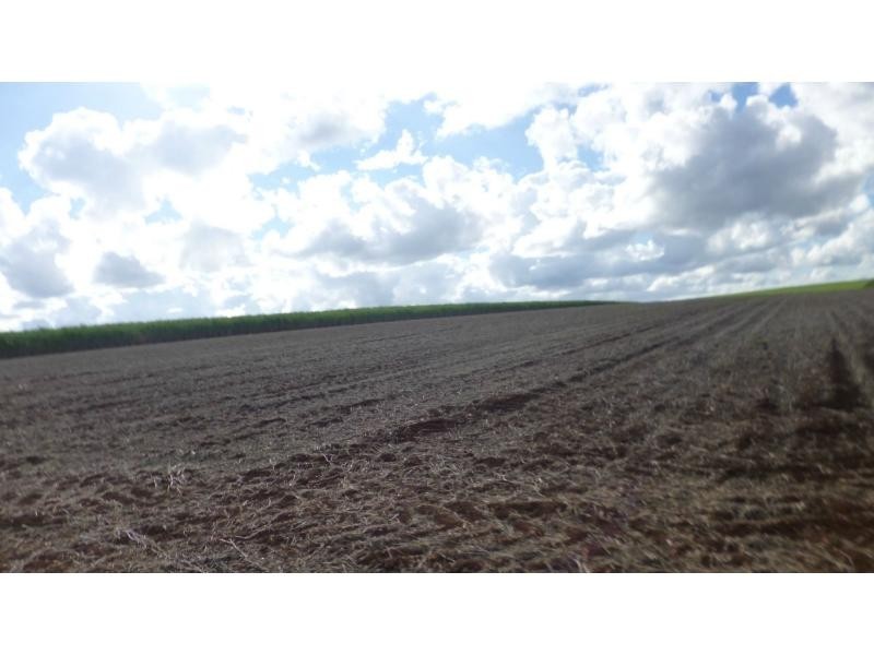 North Isis QLD 4660