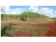 North Isis QLD 4660