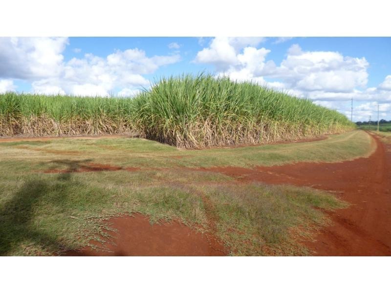 North Isis QLD 4660