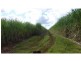 North Isis QLD 4660