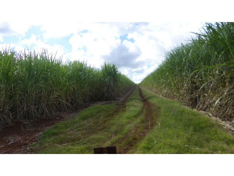 North Isis QLD 4660