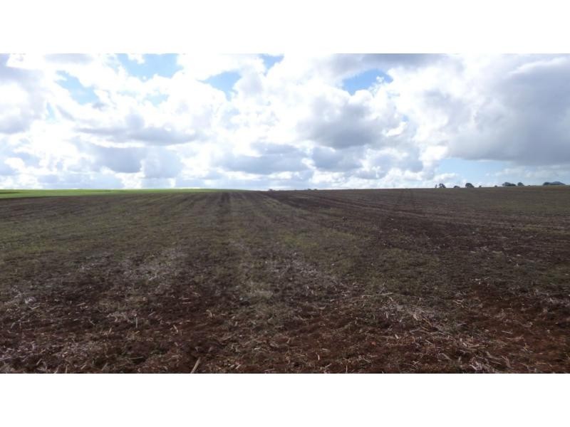North Isis QLD 4660