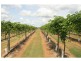 Redridge QLD 4660