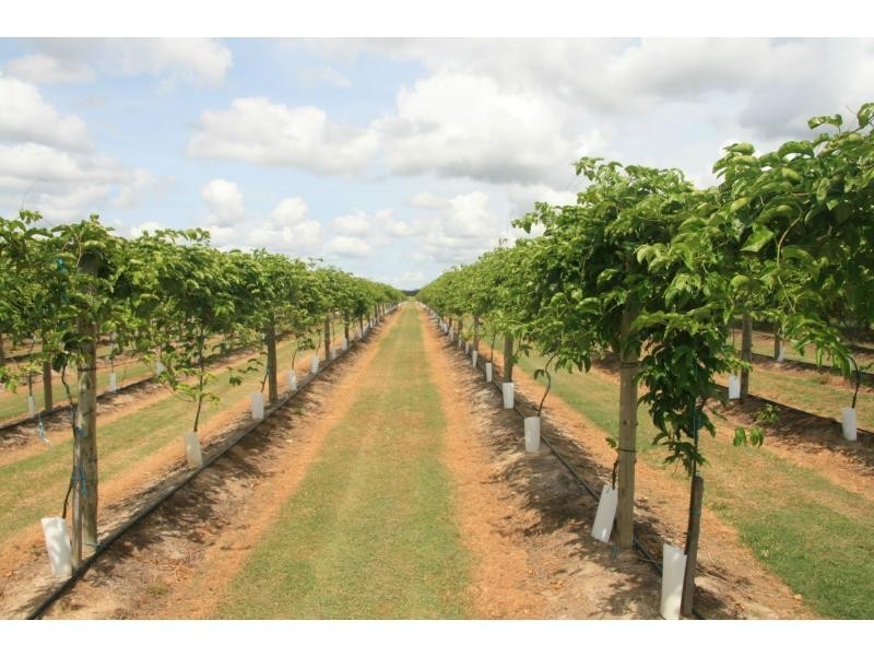 Redridge QLD 4660