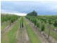 Redridge QLD 4660