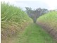 Redridge QLD 4660