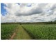 Redridge QLD 4660