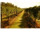 Redridge QLD 4660