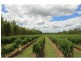 Redridge QLD 4660