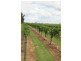 Redridge QLD 4660