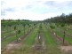 Redridge QLD 4660
